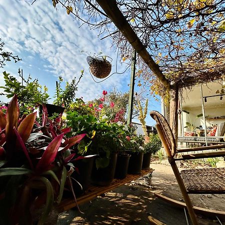 Geva Carmel בקתות האס ואטינגרヴィラ エクステリア 写真